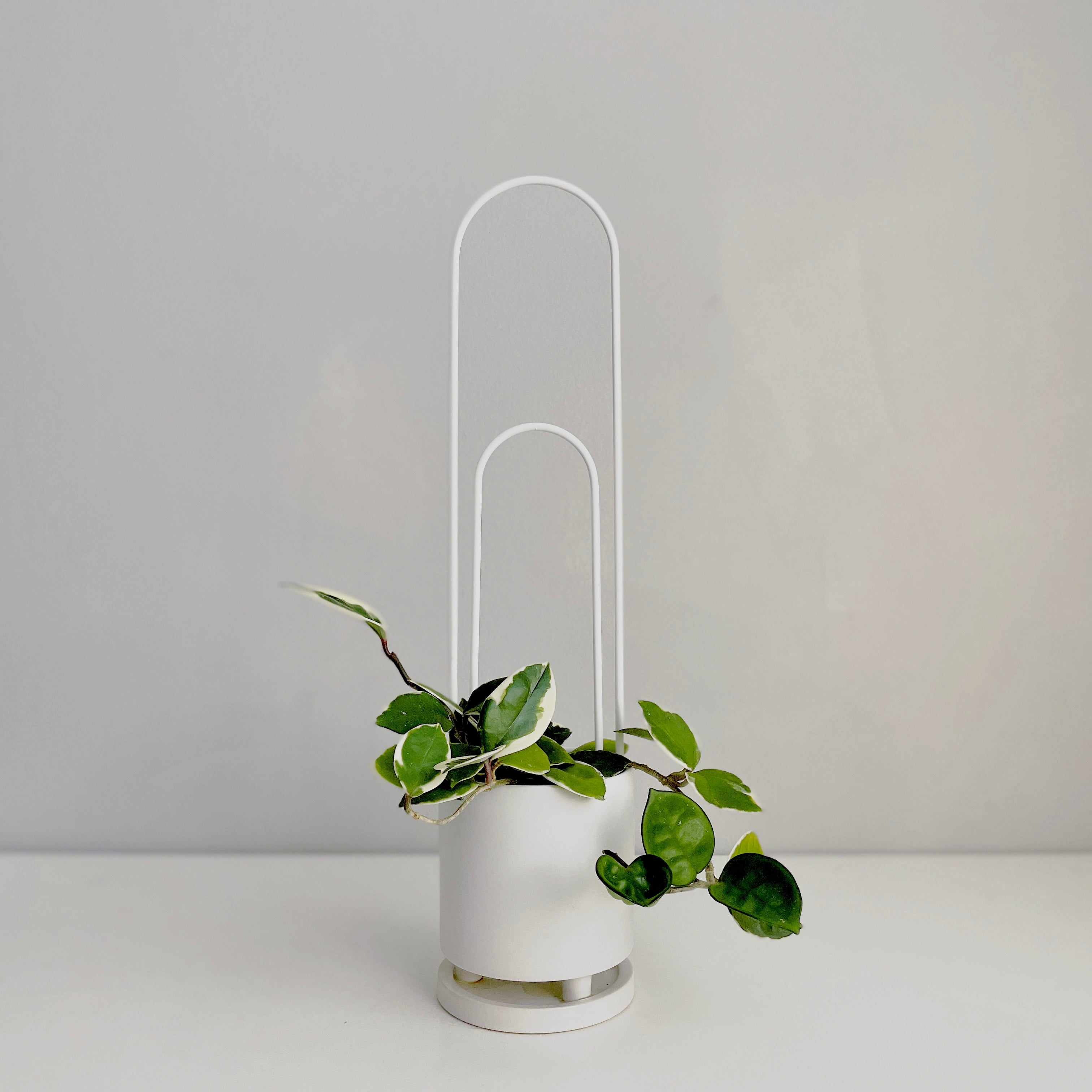 U - houseplant trellis