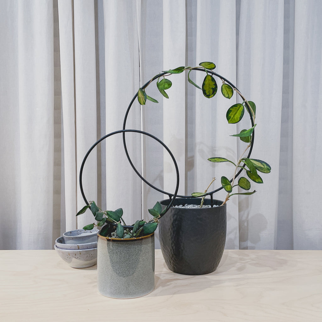 Circle - houseplant trellis
