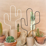 Cactus - houseplant trellis