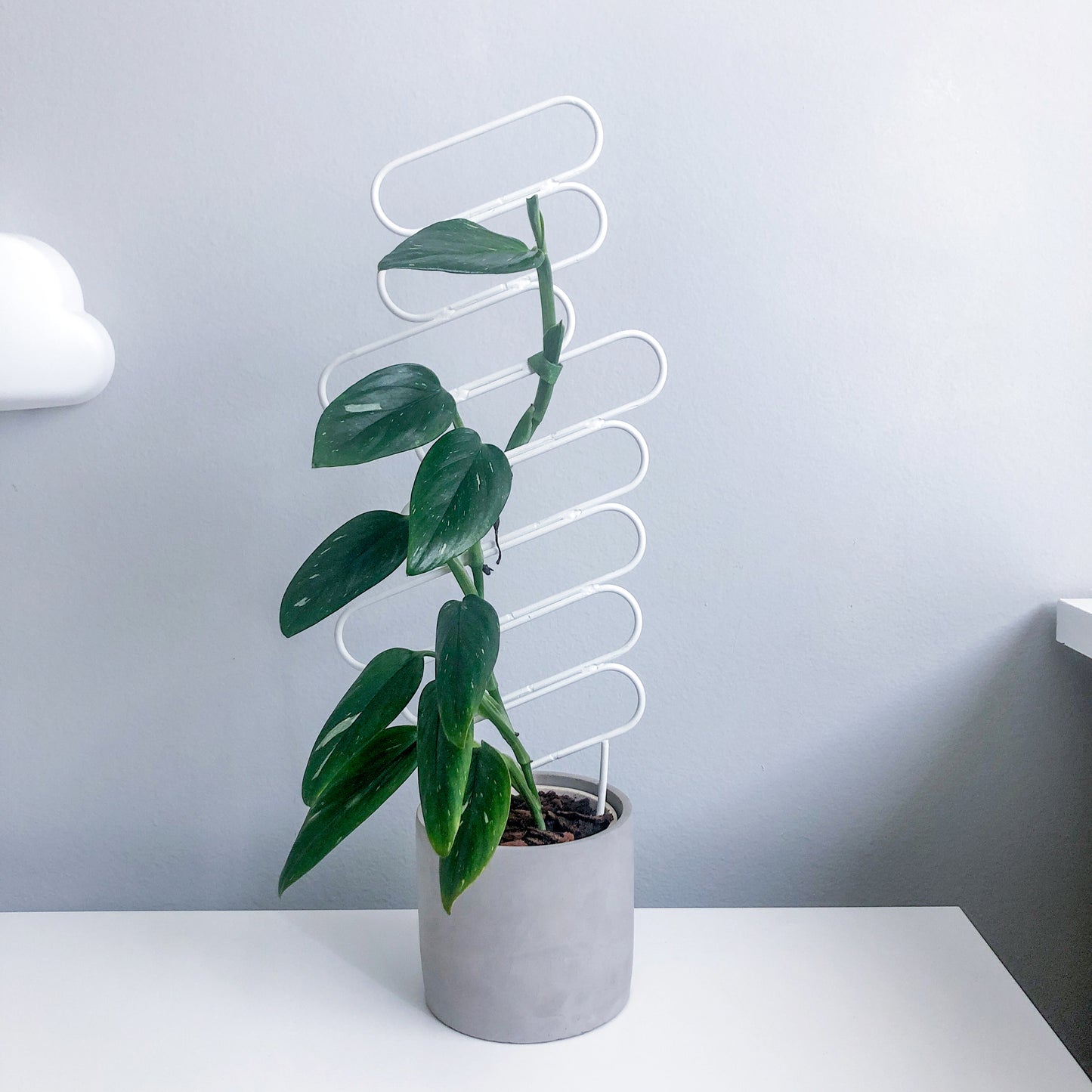 Floating Baguettes - houseplant trellis