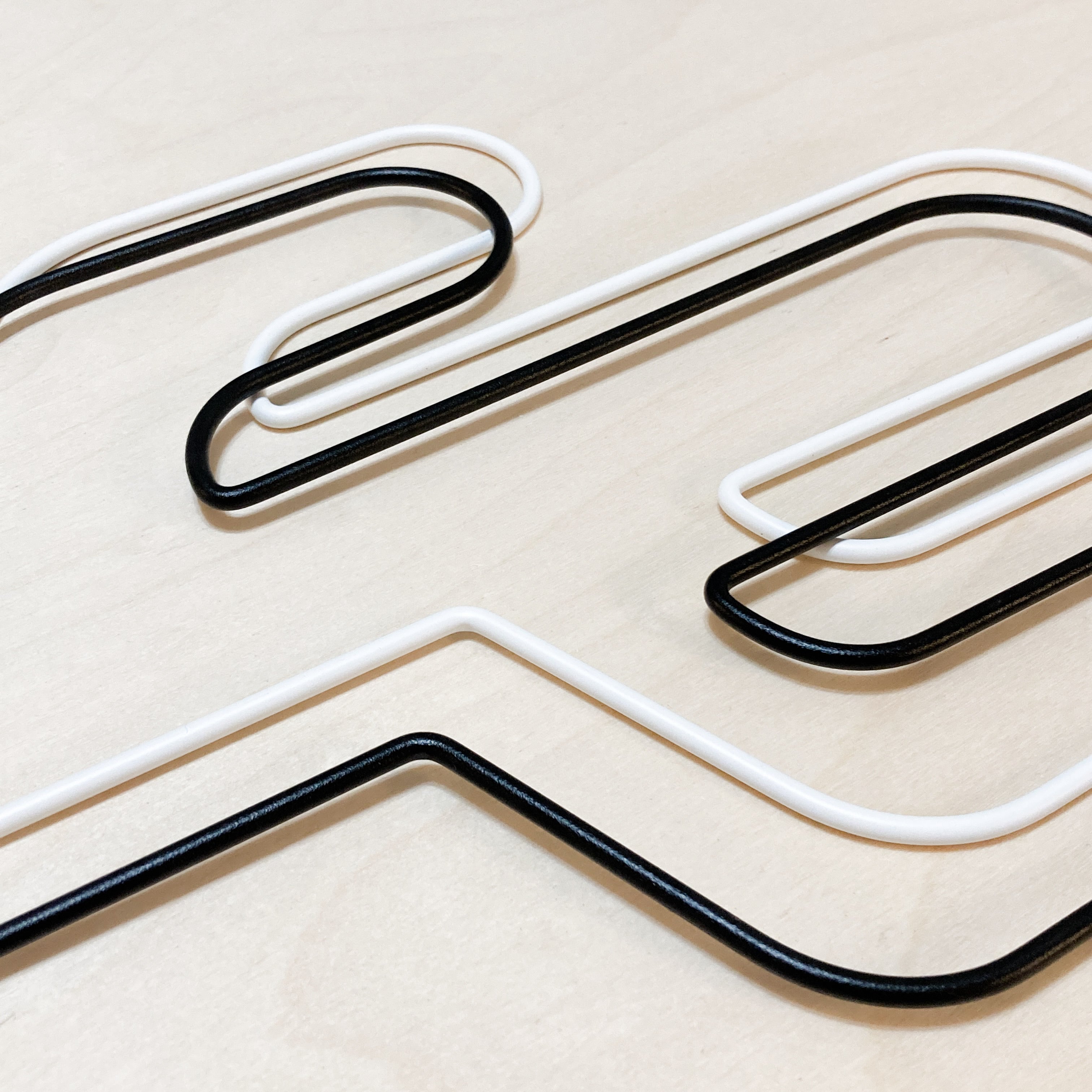 Cactus - houseplant trellis