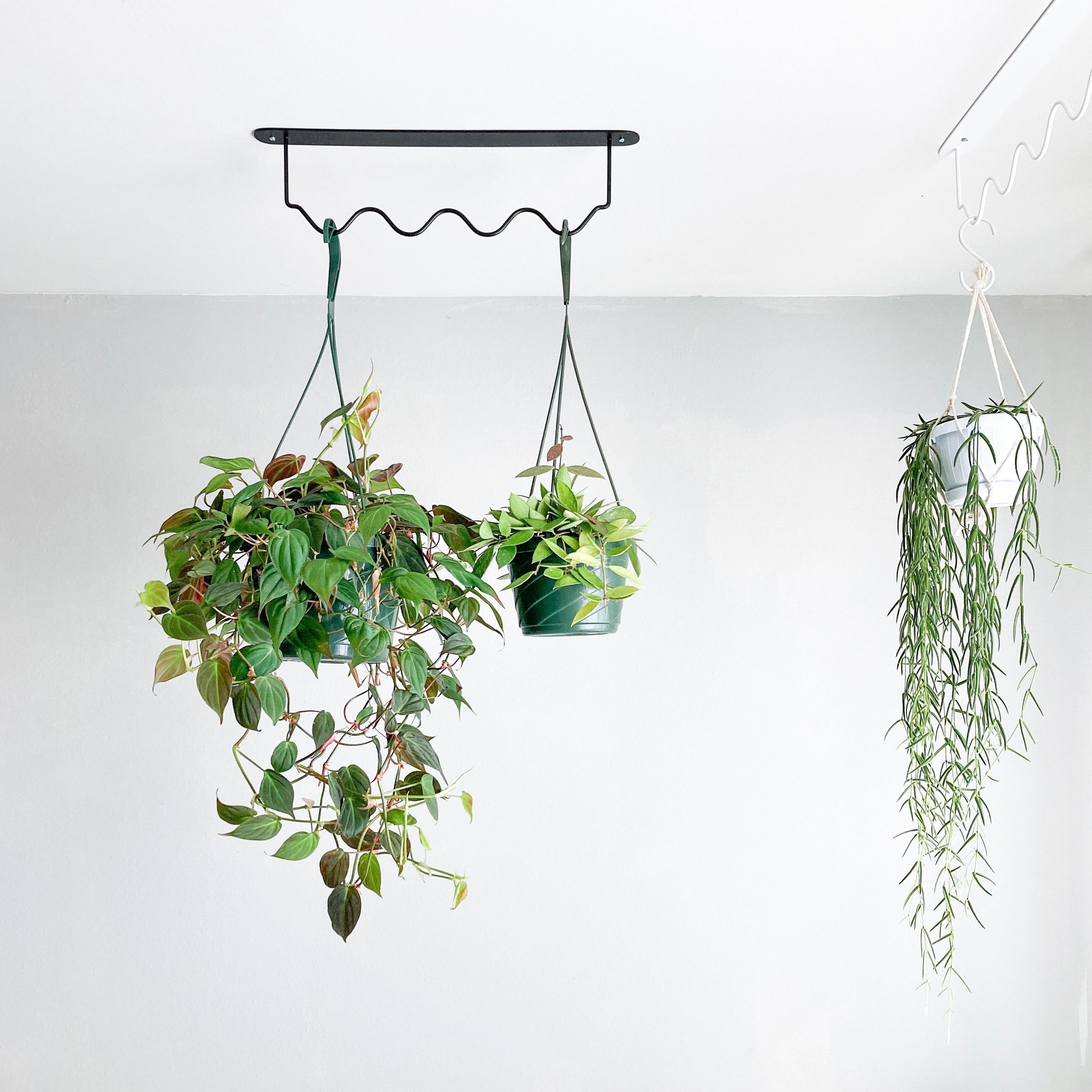 WIGGLE RAIL - ceiling rail for hanging plants