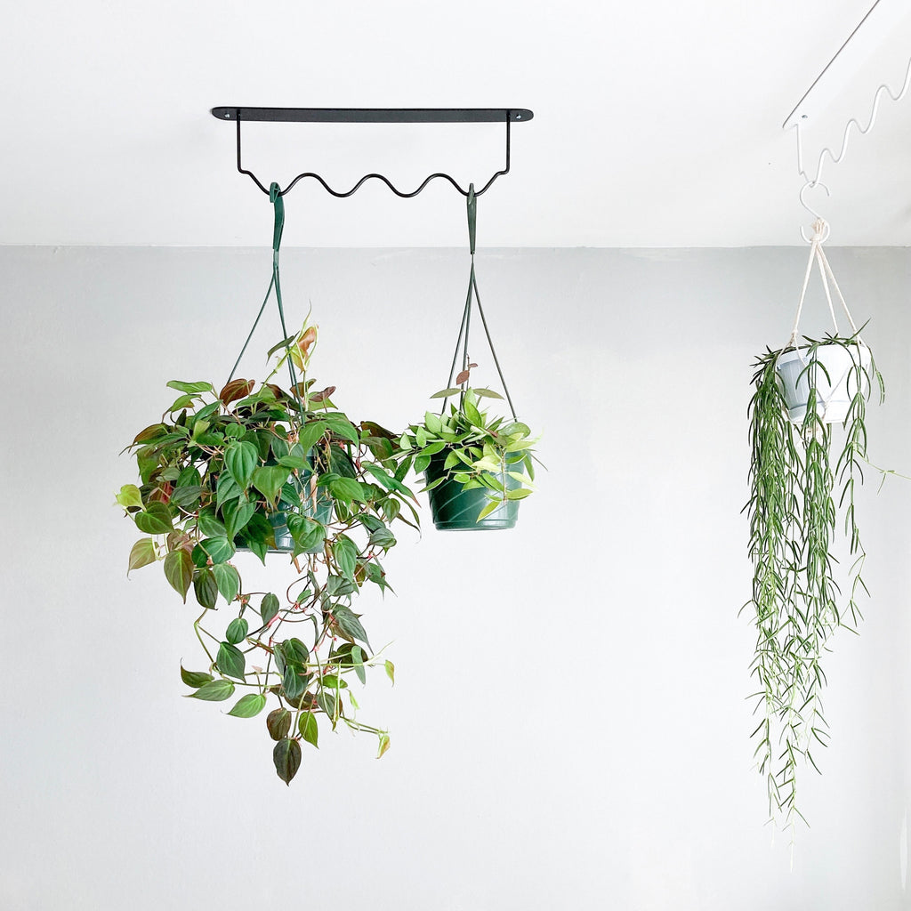 WIGGLE RAIL - ceiling rail for hanging plants