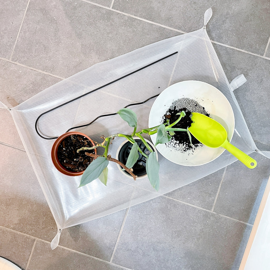 WIGGLE-U - house plant trellis