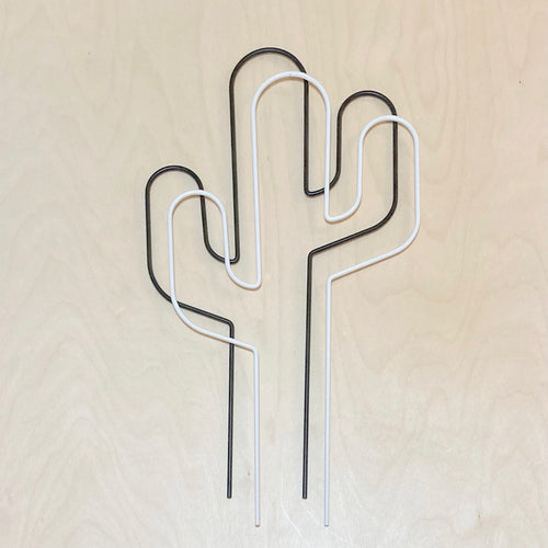 Cactus - houseplant trellis